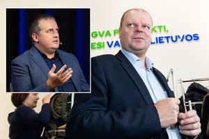 Buvęs patarėjas įvertino S. Skvernelio ėjimą: visi kiaušiniai – vienoje pintinėje, kuri stipriai siūbuoja