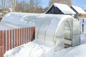 Po tikros žiemos – išbandymas sodams: prasidėjus atodrėkiui prasideda tikrieji rūpesčiai