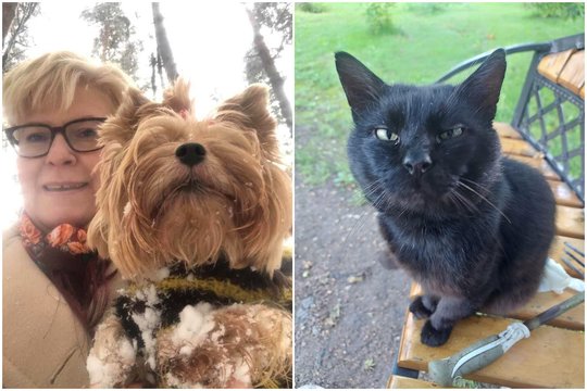 Seimui virtus pajuokos objektu – statuto pataisos: neleistų katinui Nuodėguliui ar šunytei Perlai įsiamžinti įstatymuose