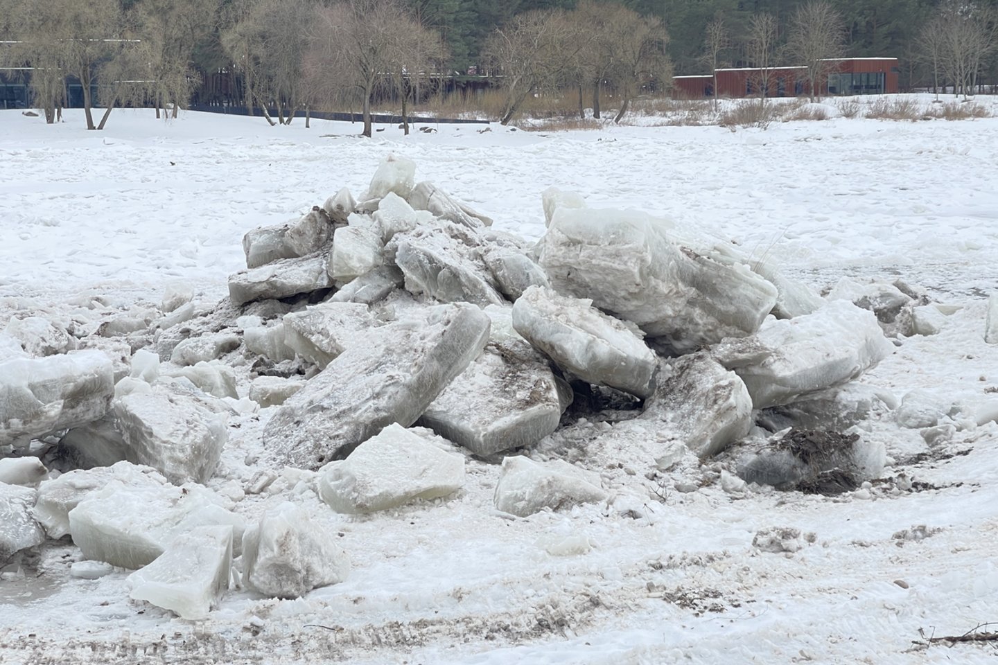 Pasiruošimas potvyniui Radikių kaime. <br>G.Bitvinsko nuotr.