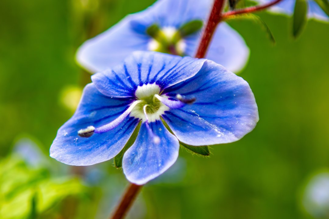 Vardų reikšmės: kovo 16–22 d. varduvininkai