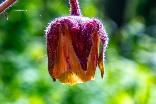 Vardų reikšmės: balandžio 6–12 d. varduvininkai