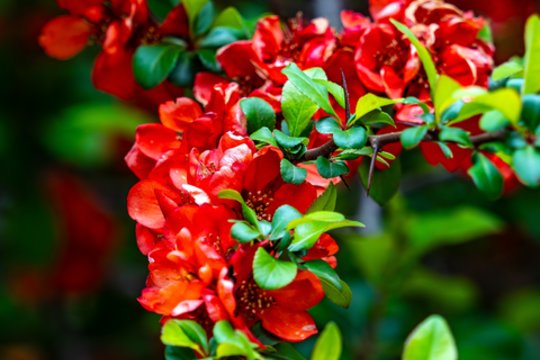 Vardų reikšmės: balandžio 27 – gegužės 3 d. varduvininkai