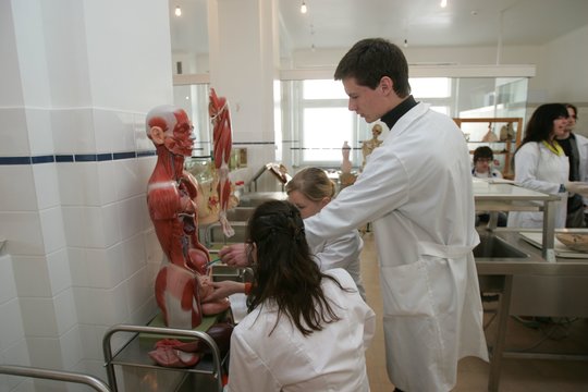 SAM: valstybė finansuos daugiau medicinos studijų vietų