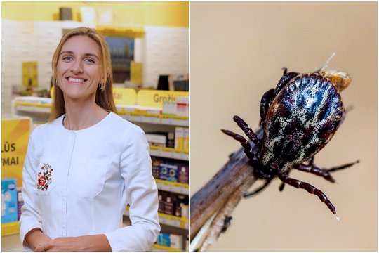 Ragina apsisaugoti, kol dar nenutirpo sniegas: 10 atsakymų apie vakciną nuo erkinio encefalito