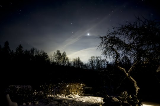 Praėjusi naktis – šalčiausia šią savaitę: skelbia, kur temperatūra krito žemiausiai