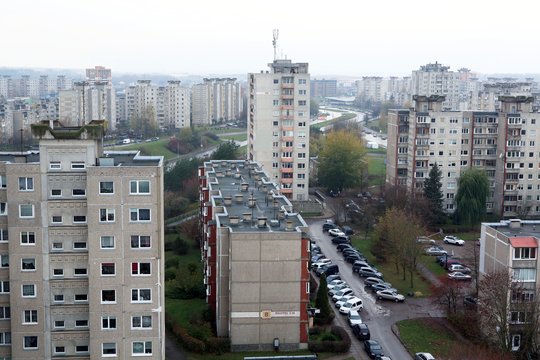 D. Kučynskis: baltarusių teisės pirkti NT ribojimas keltų abejonių šalies institucijų ekspertiškumu
