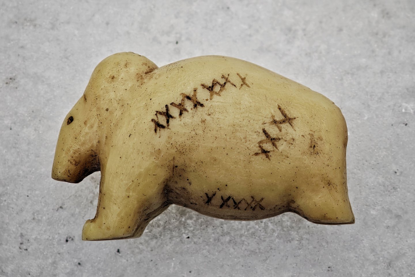 40 000 metų senumo mamuto statulėlės iš Vogelherdo urvo Vokietijoje, kurios paviršiuje yra daugybė kryželių ir taškų sekų, šiuolaikinė kopija.<br> A. Rutkausko nuotr.