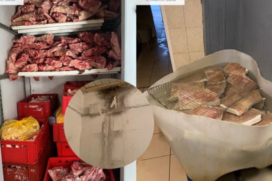 Mėsos perdirbimo įmonėje – VMVT patikrinimas: tarp radinių – voratinkliai bei užsikimšusios plautuvės