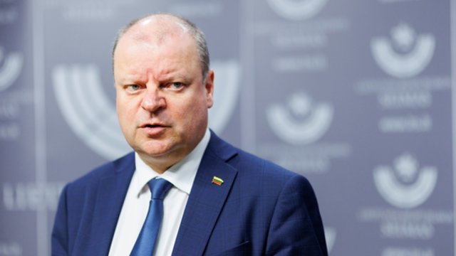 Mano, kad nebuvo kitos išeities nei palikti partijos pirmininku S. Skvernelį: įvardijo, kodėl