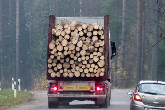 Kelyje – nejauki akistata: priekaboje rąstai lakstė tai į vieną, tai į kitą pusę