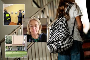 Lrytas primena: dėl ko įsiplieskė aštrus konfliktas gerai žinomoje Alytaus gimnazijoje?