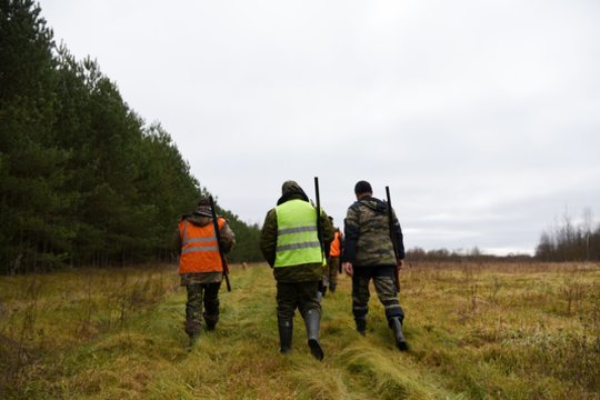 Seime – naujas siūlymas: atmintinų dienų gali padaugėti