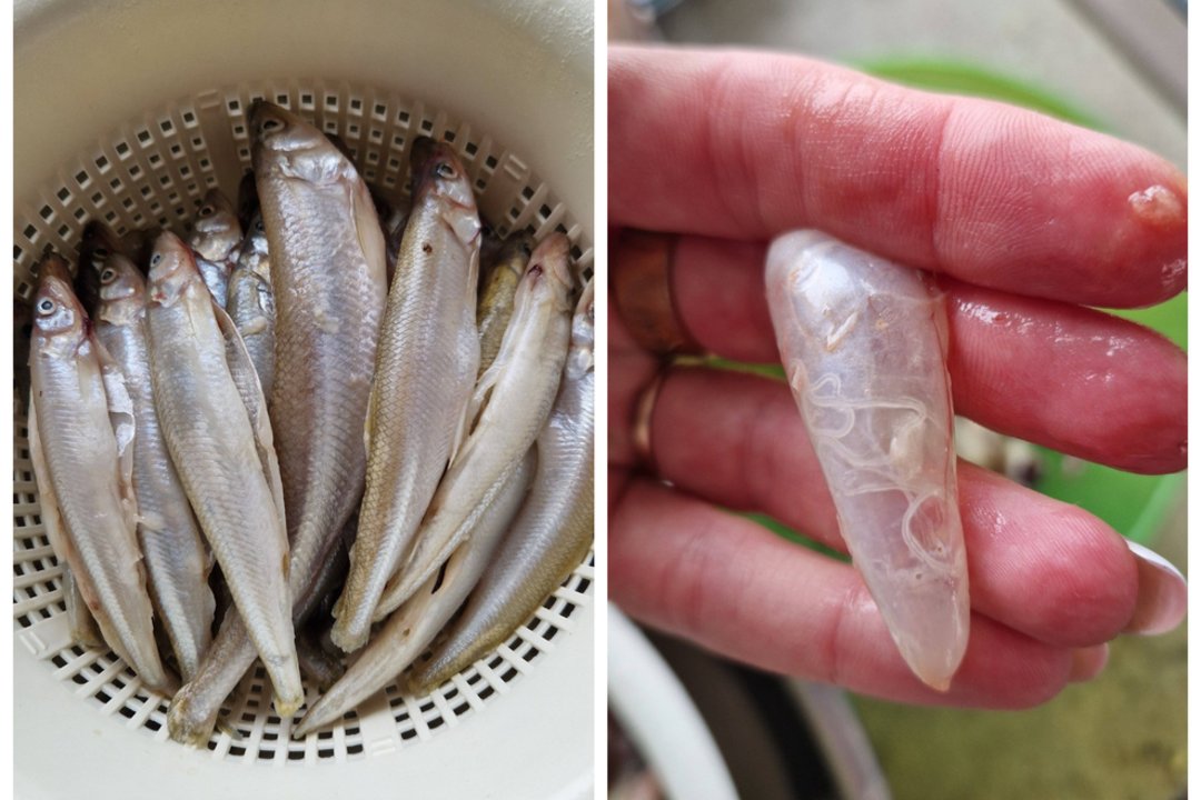 Atitirpino stintas – ir sustingo: nieko panašaus Oksana nebuvo mačiusi