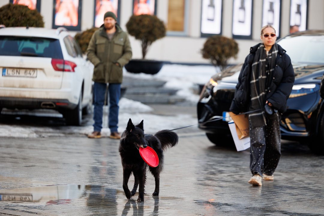 Sinoptikė žada šilumą, tačiau turi svarbią žinią dėl pavojingo reiškinio