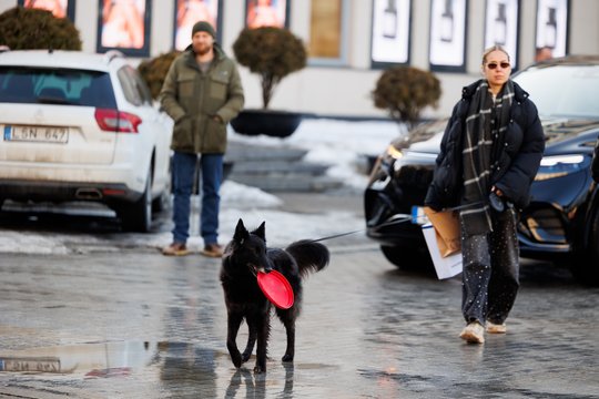 Sinoptikė žada šilumą, tačiau turi svarbią žinią dėl pavojingo reiškinio