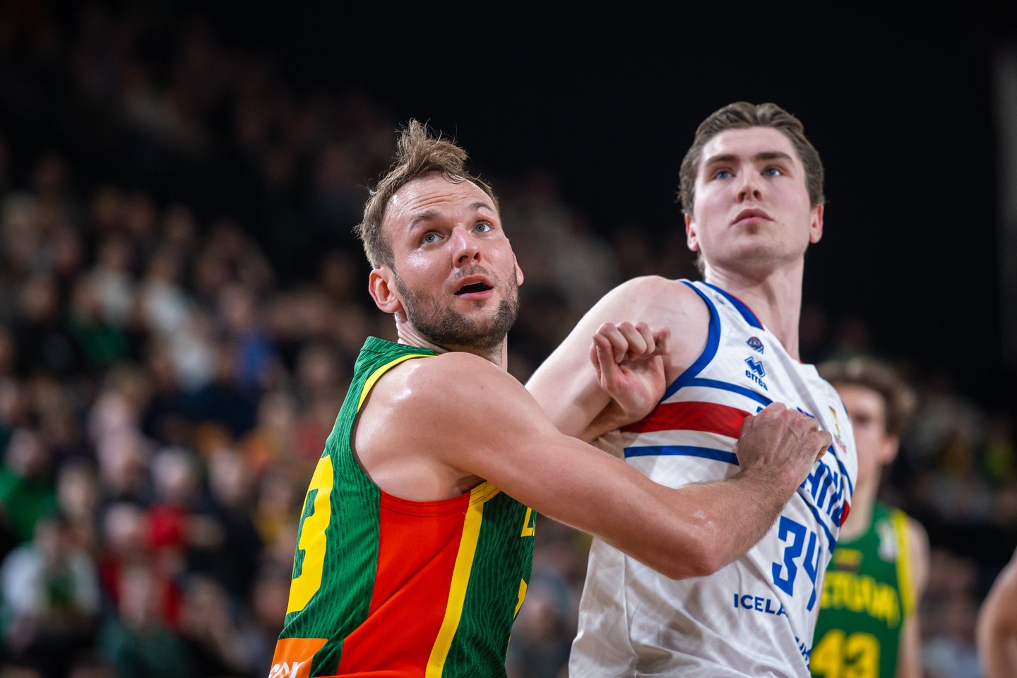 Lietuva-Islandija: Mindaugas Kačinas<br> FIBA nuotr.