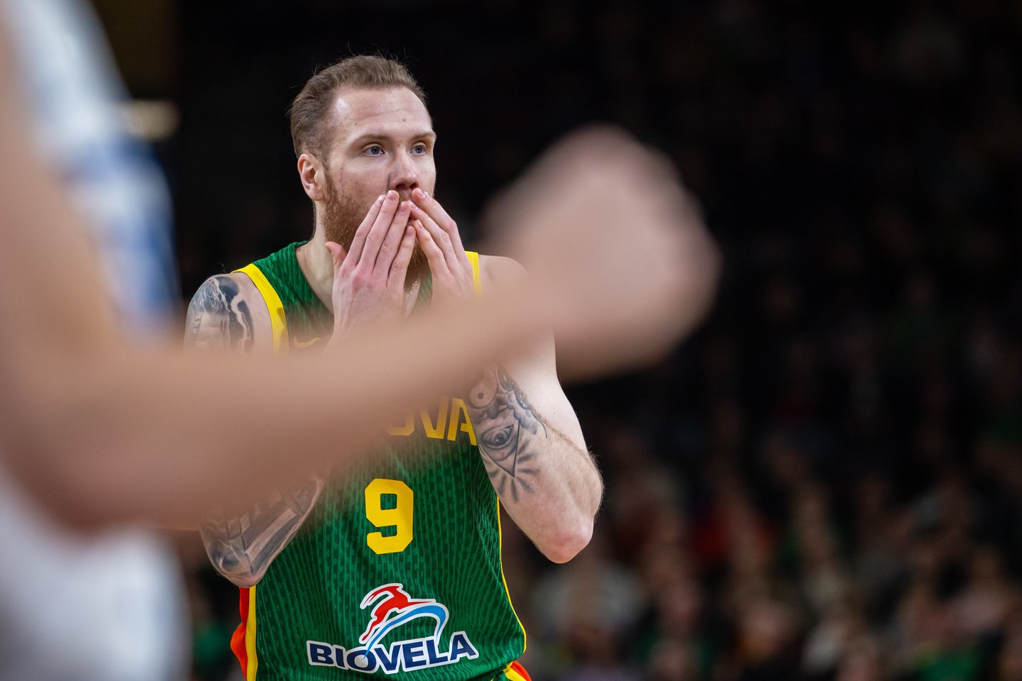 Lietuva-Islandija: Ignas Brazdeikis<br>FIBA nuotr.