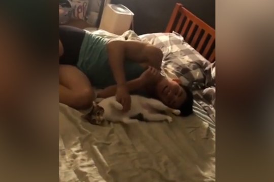 Šeimininkas pabandė išmokyti katę vieno judesio: augintinio reakcija nepaliko abejingų