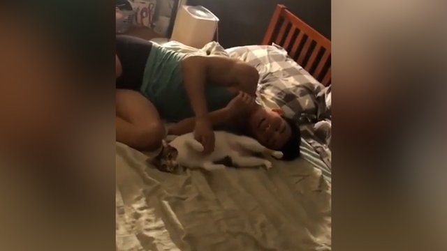 Šeimininkas pabandė išmokyti katę vieno judesio: augintinio reakcija nepaliko abejingų