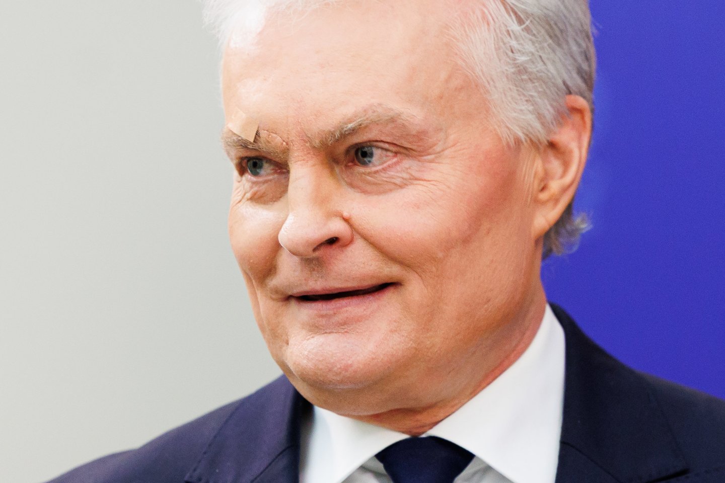 G.Nausėda pirmą kartą pasirodė po patirtos traumos.<br>T.Bauro nuotr.