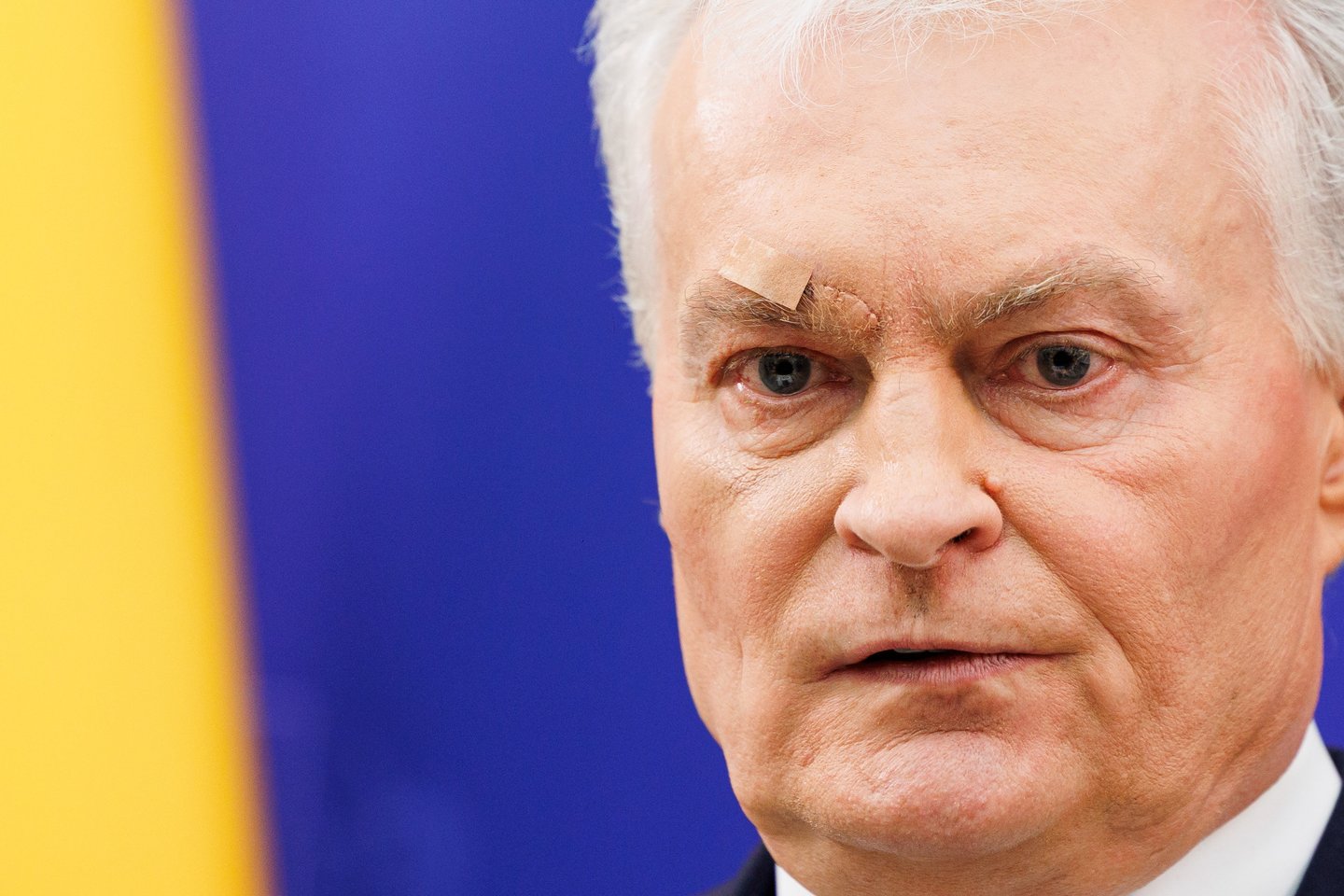 G.Nausėda pirmą kartą pasirodė po patirtos traumos.<br>T.Bauro nuotr.