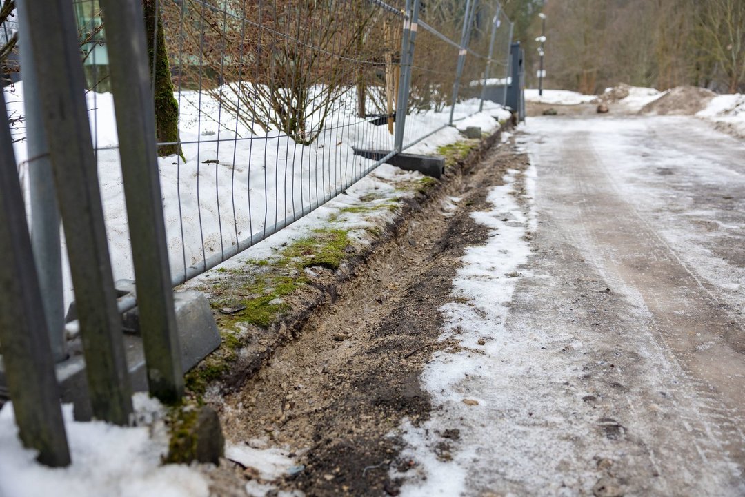 G. Nausėda pripažįsta, kad dalis jo sklypo tvoros buvo ant valstybinės žemės: „Prakeikiu tą dieną“