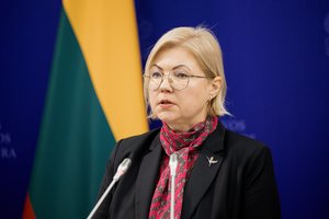 A. Norkienė įvertino I. Vėgėlės svarstymus dėl frakcijos pavadinimo: jeigu iniciatyva bus – kalbėsime