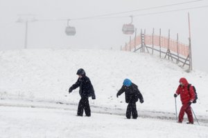 Atostogos ne vienam baigėsi tragedija: Austrija skelbia, kiek gyvybių šį sezoną nusinešė lavinos