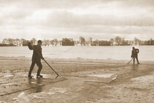 Ledo derlius Kuršių mariose: kaip Lietuvos didikai ir kurortų svečiai vėsindavosi kaitriomis vasaromis