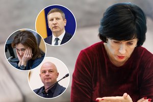 V. Aleknavičienei – virtinė nepatogių klausimų: suabejojo, ar nėra nušalinta nuo kultūros politikos