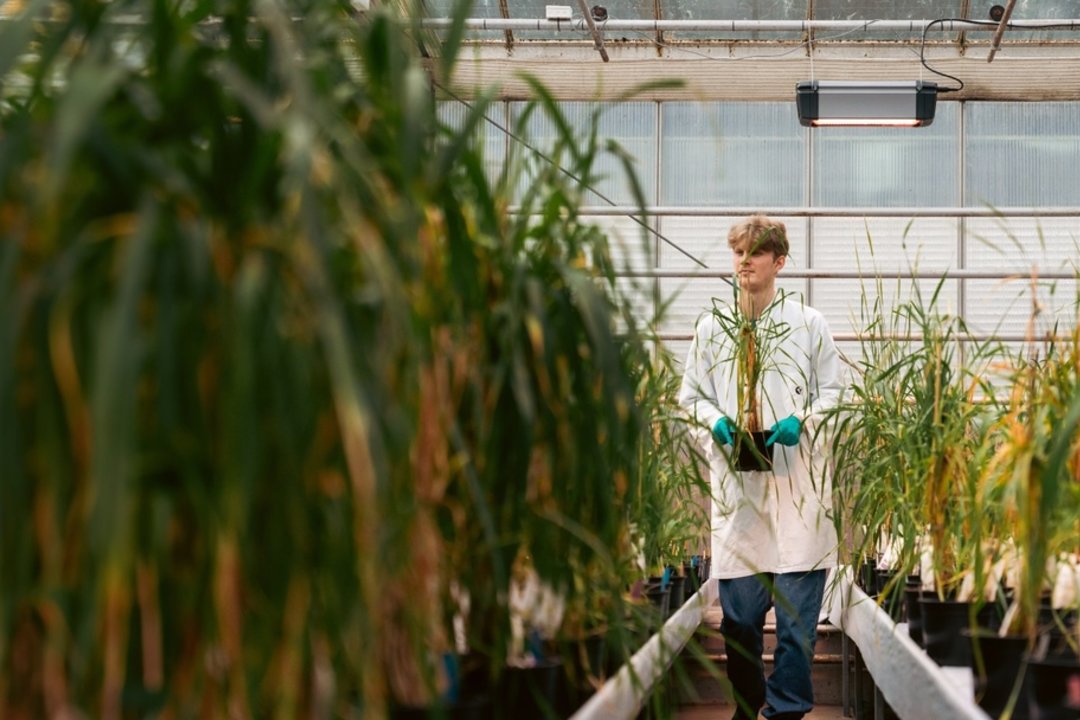 „Carlsberg“ atnaujina tvarumo programą: tikslas – nulinės emisijos