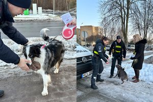 Šunų šeimininkams – ir tarnybų dėmesys: tikrino, ar laikosi taisyklių