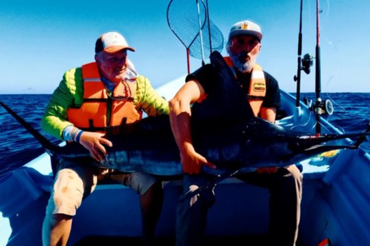 „Šiandien kimba“. Prisiminimų kelionė į Meksiką