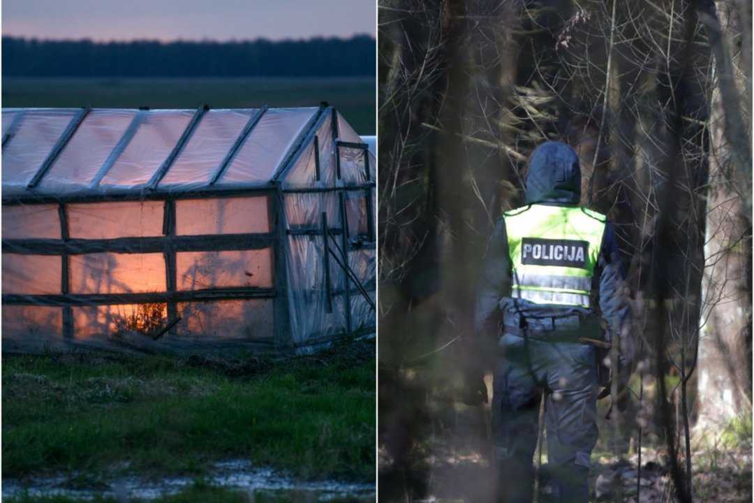 Šiltnamis šalia Alytaus slėpė šiurpią paslaptį: žmogaus palaikai po žeme gulėjo 9 mėnesius