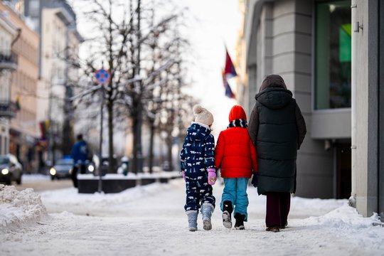 Lietuva pateko į bėdą: jei ne šiemet, tai po metų ar dvejų laukia nemalonios pasekmės