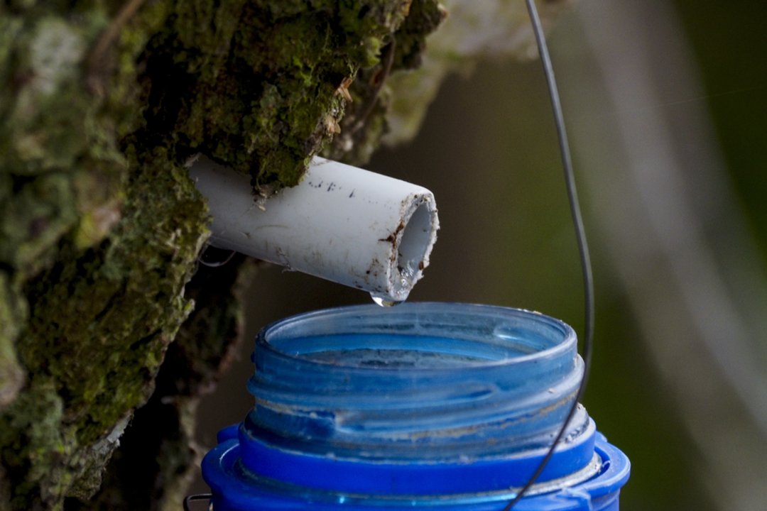 Prasidedant sulos sezonui – priminimas