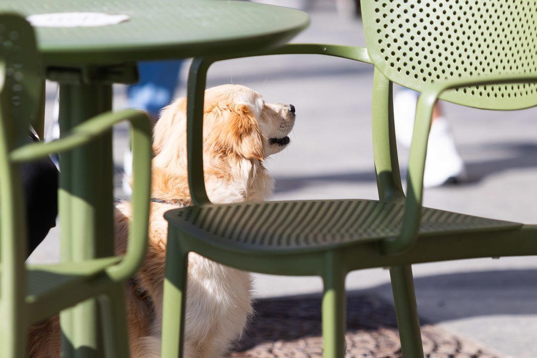 Termometrų stulpeliai kasdien kils vis aukščiau: skelbia, kada sulauksime ir 15 laipsnių šilumos