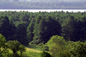 Ministerija planuoja steigti tris naujus valstybinius draustinius