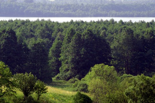 Ministerija planuoja steigti tris naujus valstybinius draustinius