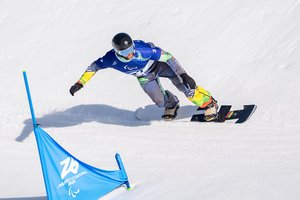 Ketvirtfinalyje fortūna nusisuko nuo R. Micevičiaus