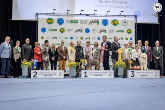 Tarptautinėje šunų parodoje Vilniuje – išskirtinio kaunietės augintinio triumfas