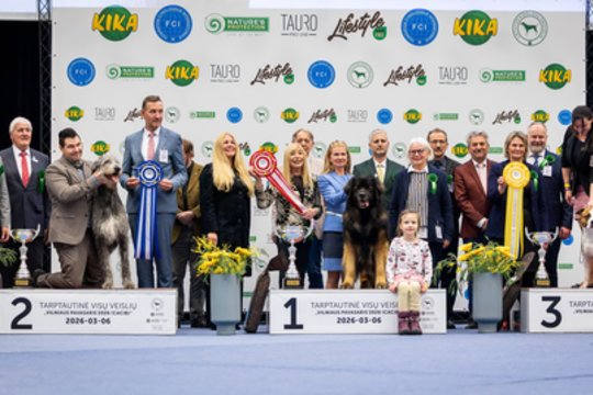 Tarptautinėje šunų parodoje Vilniuje – išskirtinio kaunietės augintinio triumfas