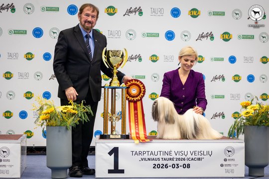 Tarptautinėje šunų parodoje Vilniuje – išskirtinio kaunietės augintinio triumfas