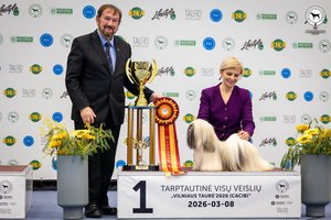 Tarptautinėje šunų parodoje Vilniuje – išskirtinio kaunietės augintinio triumfas