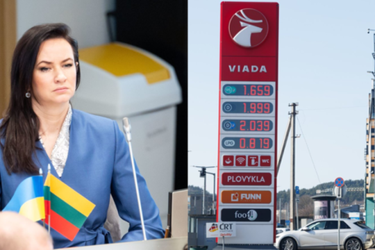 Sparčiai brangstant degalams – I. Ruginienės reakcija ir siūlymas