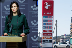 Europos šalims įvedant lubas degalų kainoms, pasisakė I. Ruginienė
