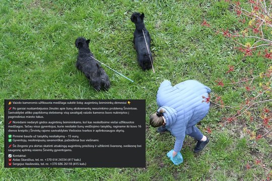 Vienoje savivaldybėje – netikėtai griežti sprendimai dėl šunų paliktų „dovanėlių“: grasina paviešinti vaizdo įrašus