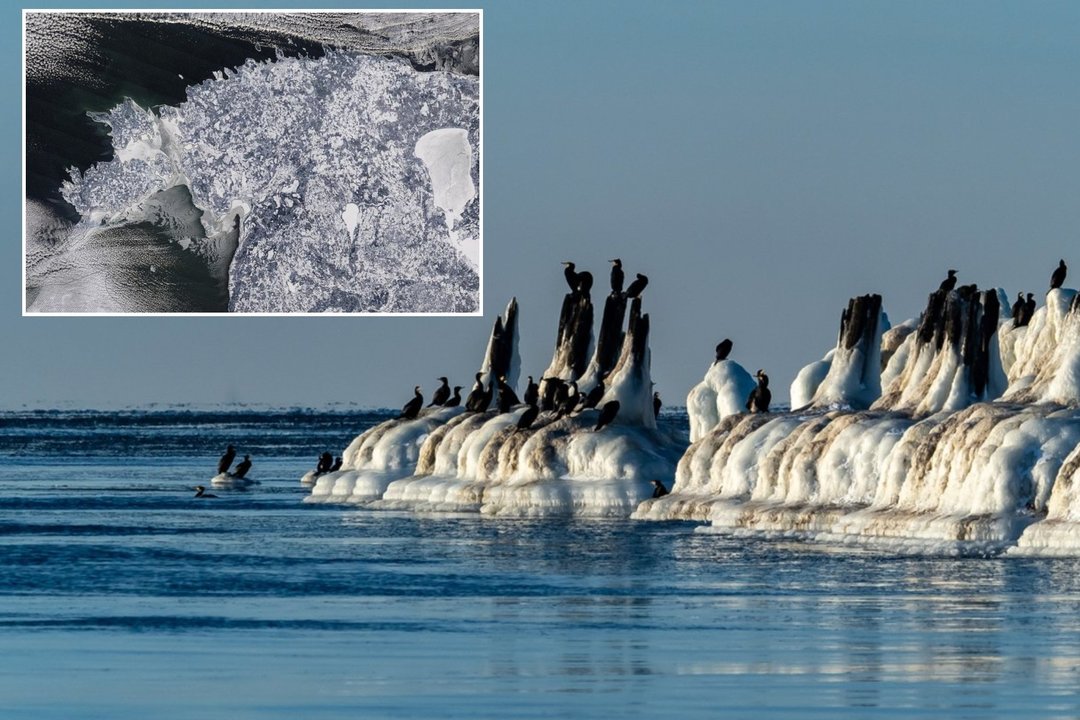 Rekordas Baltijos jūroje – žemesnio vandens lygio nebuvę: paaiškino, kas tai lėmė ir kokios bus pasekmės