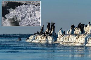 Rekordas Baltijos jūroje – žemesnio vandens lygio nebuvę: paaiškino, kas tai lėmė ir kokios bus pasekmės